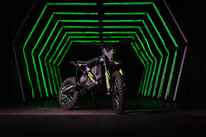 2025 Rawr Mantis Mini R17