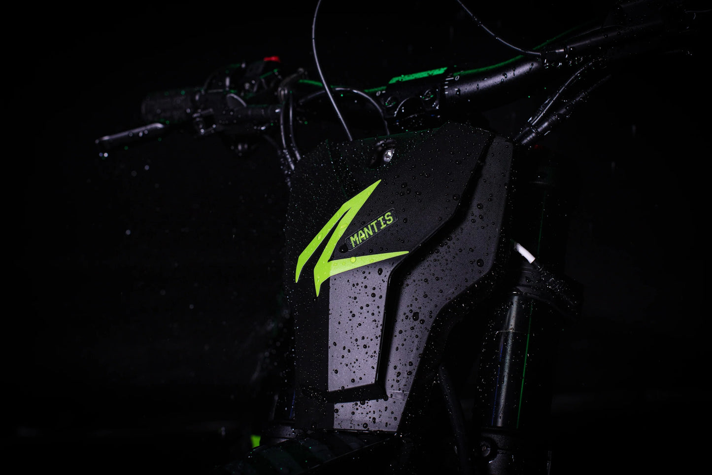 2025 Rawr Mantis Mini R17